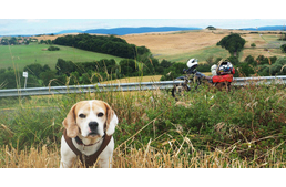 Dog On Motorcycle – Italy through the eyes of a motorcyclist and his awesome dog - Part 2.