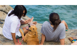 Barcelona honors dogs with a special beach