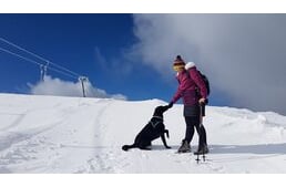 Winterurlaub mit Hund in Österreich