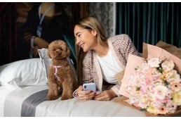 Magic and luxury in a dog friendly hotel - it's possible!