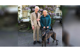 Rolling Stones drummer adopts rescued greyhound