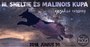 III. Sheltie és malinois Cup for all breeds
