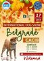 65th International Dog Show CACIB Belgrade
