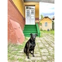 Csi-Ga Guesthouse